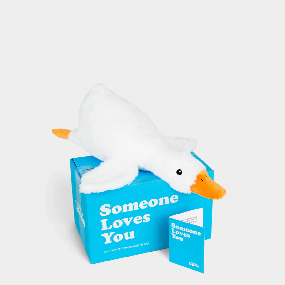 Cute Stuffed Animal Care Packages